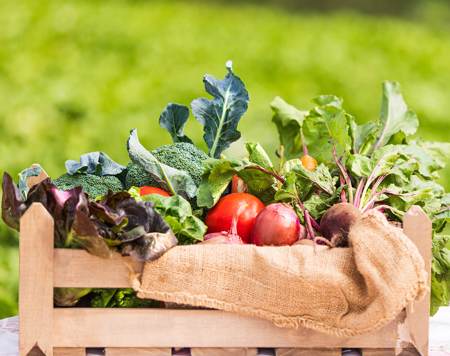 EOS Hellenic Renaissance Fund (EHRF) invests in Eurocatering S.A.